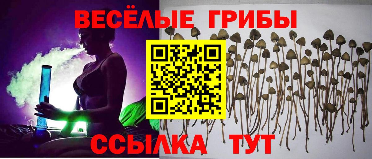 Галлюциногенные грибы Psilocybine cubensis  Галлюциногенные грибы прущие грибы  Бугульма  Вход с VPN 